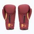 Boxhandschuhe LEONE 1947 Idol various 3