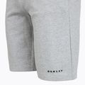 Oakley Herren-Shorts Canyon View neue Granit Heidekraut 4