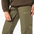 Skihose Damen Oakley Jasmine Insulated new dark brush 5