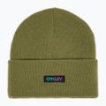 Wintermütze Oakley B1B Gradient Patch Beanie fern