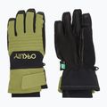 Skihandschuhe Oakley Oakley B1B fern