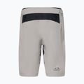 Herren Oakley Free Ride gefüttert Zement Radfahren Shorts 2