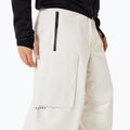 Herren Snowboardhose Oakley Channel Cargo mist 4