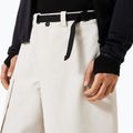 Herren Snowboardhose Oakley Channel Cargo mist 6