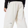 Herren Snowboardhose Oakley Channel Cargo mist 7