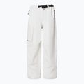 Herren Snowboardhose Oakley Channel Cargo mist 8