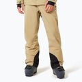 Herren-Skihose Oakley Sub Temp RC Gore-Tex 2.0 pebble