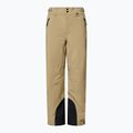 Herren-Skihose Oakley Sub Temp RC Gore-Tex 2.0 pebble 7