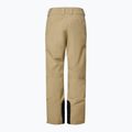 Herren-Skihose Oakley Sub Temp RC Gore-Tex 2.0 pebble 8