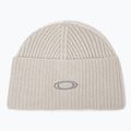 Wintermütze Oakley Ellipse Ribbed Beanie mist/cement