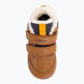 Geox Elthan tabak/navy Kinderschuhe 6