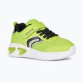 Geox Assister Junior Schuhe limette/schwarz
