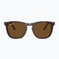 Sonnenbrille Ray-Ban RB2210 havana/brown polarized 2