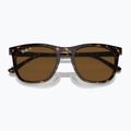 Sonnenbrille Ray-Ban RB2210 havana/brown polarized 3