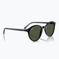 Sonnenbrille Ray-Ban Bernard black/green g-15