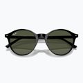 Sonnenbrille Ray-Ban Bernard black/green g-15 3