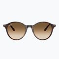 Sonnenbrille Ray-Ban Bernard havana/brown gradient 2