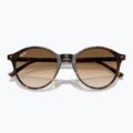 Sonnenbrille Ray-Ban Bernard havana/brown gradient 3