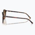 Sonnenbrille Ray-Ban Bernard havana/brown gradient 6