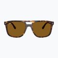 Sonnenbrille Ray-Ban RB2213 havana/brown b-15 2