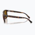 Sonnenbrille Ray-Ban RB2213 havana/brown b-15 6