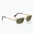 Sonnenbrille Ray-Ban RB3927 By A$Ap Rocky