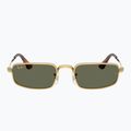 Sonnenbrille Ray-Ban RB3927 By A$Ap Rocky 2