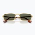 Sonnenbrille Ray-Ban RB3927 By A$Ap Rocky 3