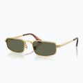 Sonnenbrille Ray-Ban RB3927 By A$Ap Rocky 4
