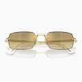 Sonnenbrille Ray-Ban RB3928 By A$Ap Rocky arista gold/brown gold 3