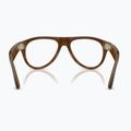 Brille mit Kamera Ray-Ban Meta Aviator havana/trs brown 3