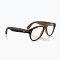 Brille mit Kamera Ray-Ban Meta Aviator havana/trs brown 4