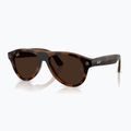 Brille mit Kamera Ray-Ban Meta Aviator havana/trs brown 8