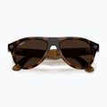 Brille mit Kamera Ray-Ban Meta Aviator havana/trs brown 9