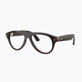 Brille mit Kamera Ray-Ban Meta Aviator transp. umber/trs jade