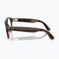 Brille mit Kamera Ray-Ban Meta Aviator transp. umber/trs jade 5