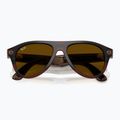 Brille mit Kamera Ray-Ban Meta Aviator transp. umber/trs jade 9