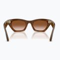 Brille mit Kamera Ray-Ban Meta Zena havana/gradient brown 3