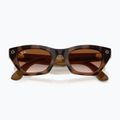 Brille mit Kamera Ray-Ban Meta Zena havana/gradient brown 6