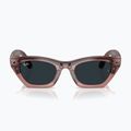 Brille mit Kamera Ray-Ban Meta Zena milky pink blush/trs grey 9