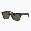 Brille mit Kamera Ray-Ban Meta Wayfarer havana/g15 green