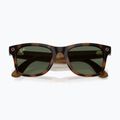 Brille mit Kamera Ray-Ban Meta Wayfarer havana/g15 green 6