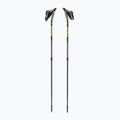 Fizan Speed Impulse Nordic Walking Stöcke grau S21 7540