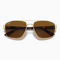 Sonnenbrille Ray-Ban RB3663 arista gold/brown 3