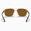Sonnenbrille Ray-Ban RB3663 arista gold/brown 5