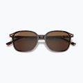 Sonnenbrille Ray-Ban Leonard tortoise/brown polarized 3