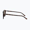 Sonnenbrille Ray-Ban Leonard tortoise/brown polarized 7