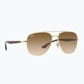 Sonnenbrille Ray-Ban RB3683 arista gold/brown