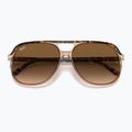 Sonnenbrille Ray-Ban Bill havana brown/transparent brown 3