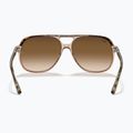 Sonnenbrille Ray-Ban Bill havana brown/transparent brown 5